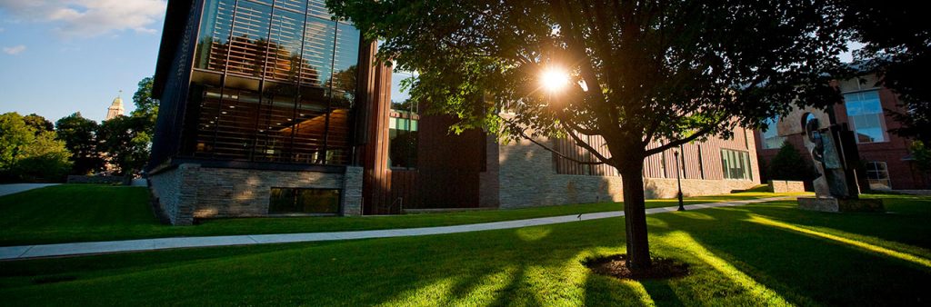 Sunlight reflects off a building and through a green-leafed tree.