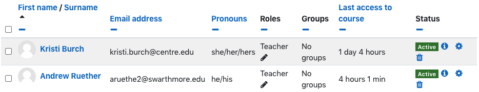 Tabular interface showing user identity